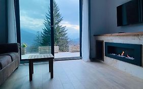 Stone Apartment With Sauna Sinaia