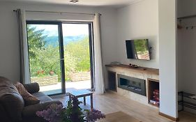 Stone Apartment With Sauna Sinaia